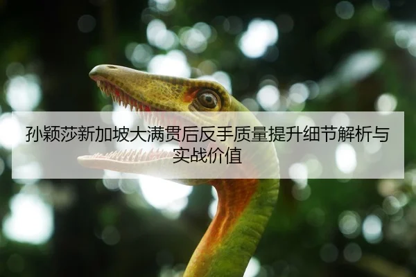 孙颖莎新加坡大满贯后反手质量提升细节解析与实战价值